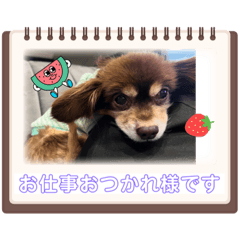 moo_20240119070215