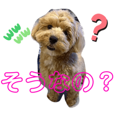 omochi_20240119090528