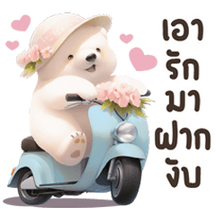 Cute White Bear - LoveLove