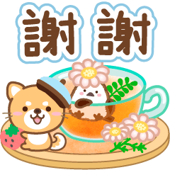 Natural dog Kindness caring taiwan3