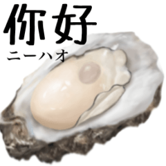oyster 8