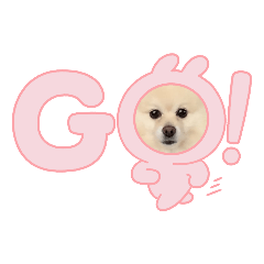Omg_20240119151122