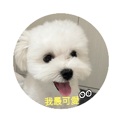 錢錢米漿日常