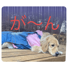 SORAANN_20240119214300