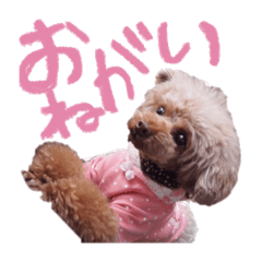 tori_20240119233753