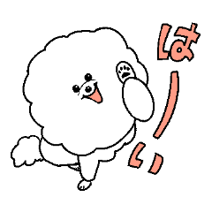 Fuwamoko bichon chyan