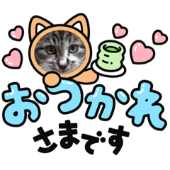 suzu_20240119225400