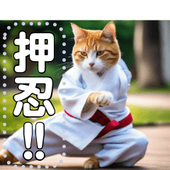 cat doing karate