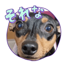 suzu_20240120130350