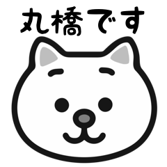Maruhashi cat stickers