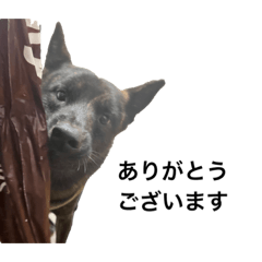 Japanese Dog (Kai Inu) Stamp