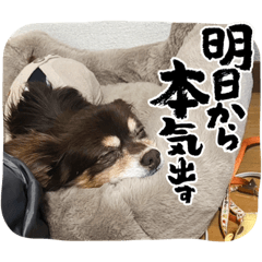 moo_20240119213850