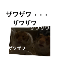 Takuya_20240120124832