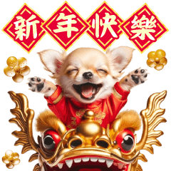Chinese New Year Chihuahua