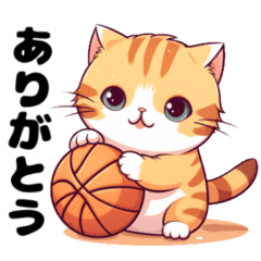 Cats to like basketball