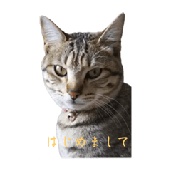 tabiten_20240120212857