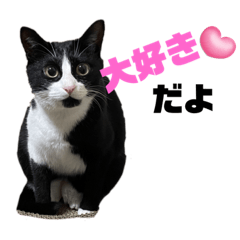 saiko_20240120221527