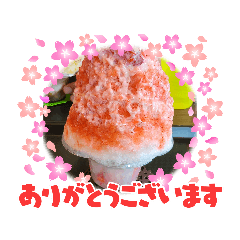suzu mama_20240120161659