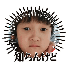 coco_20240120224541
