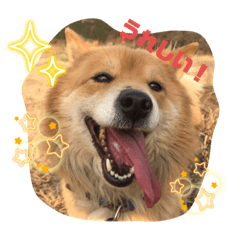 rintama_20240120173749