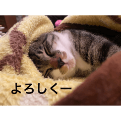 UEDA SAN_20240120173954