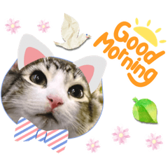 Chisa_20240120165331