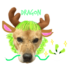 SEN.summer_20240120055319 – LINE stickers | LINE STORE