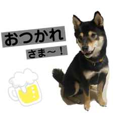 kchan_20240120195342