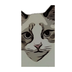 _20240121125547