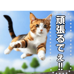 ジャンプする猫（リアル風）関西弁