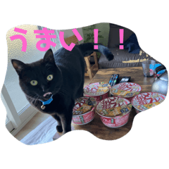 kuroneko_20240120214305