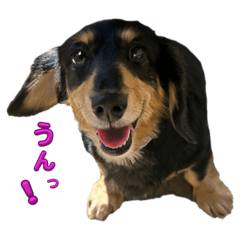shelly_20240120233533
