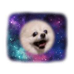Omg_20240120211714