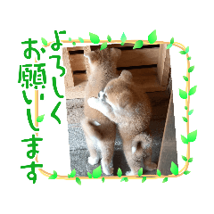 Nao_20240120225213