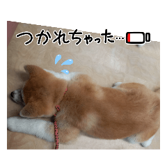 Nao_20240120230357