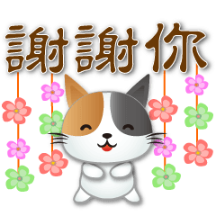 Cute Calico cat - practical  greetings