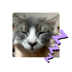 nora_20240120234351
