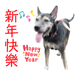 巧克力不吃巧克力第二彈