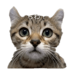 mugico_20240121230848