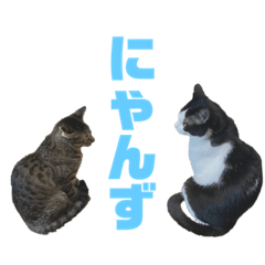 Ima_20240121165134