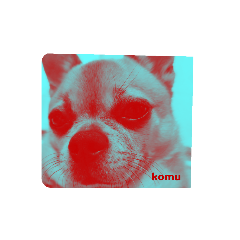 komu dog