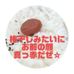 AwaNeko_20240121120834