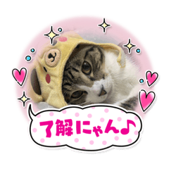 Cat stamp Kirara &Moka