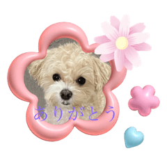 yuka_20240121231935