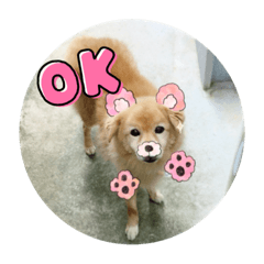 Yuka_20240121232737
