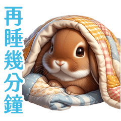 可愛兔兔陪你過生活!!!
