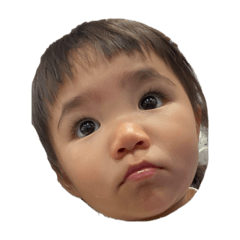 ynps_20240121225411