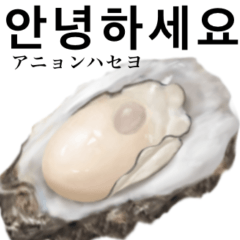 牡蠣 です　韓国語