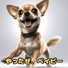 Chihuahuas of Showa Slang