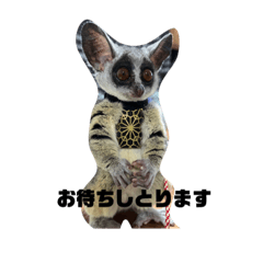 yuka_20240122145606